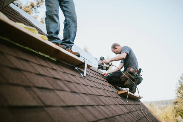 Best Roof Leak Repair  in Blue Rapids, KS